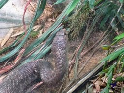 Haus des Meeres 4.02.2026